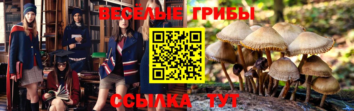 Псилоцибиновые грибы мухоморы  Галлюциногенные грибы прущие грибы  Кострома  Вход с VPN 