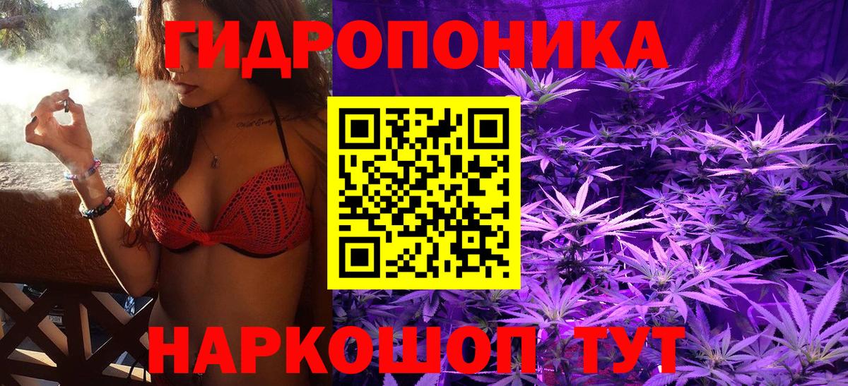 МАРИХУАНА OG Kush Кострома